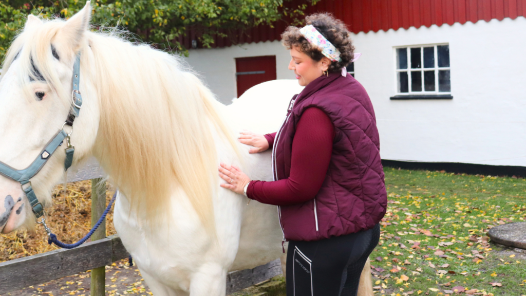 Hestemassør fra EASE Equine Bodywork i gang med hestemassage.