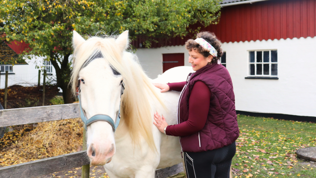 Hestemassør Line Holm-Bode fra EASE Equine Bodywork, som laver hestemassage på tinkeren Raffe.
