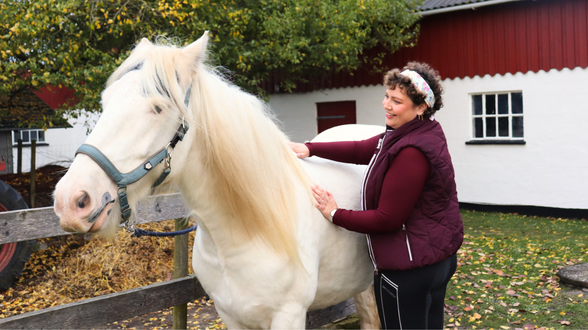 Hestemassør Line Holm-Bode fra EASE Equine Bodywork, som udfører hestemassage på tinkeren Raffe.