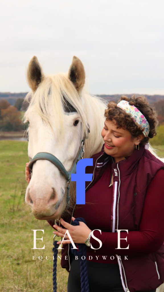 Følg hestemassør Line Holm-Bode fra EASE Equine Bodywork på Facebook. 