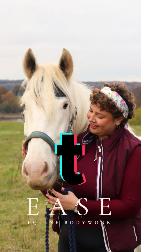 Følg hestemassør Line Holm-Bode fra EASE Equine Bodywork på TikTok.
