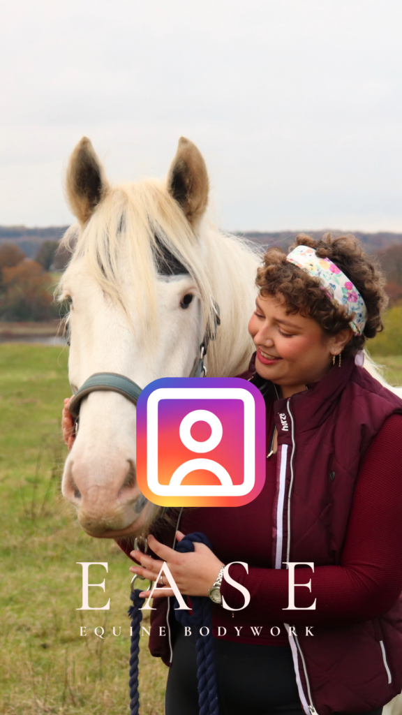 Følg hestemassør Line Holm-Bode fra EASE Equine Bodywork på Instagram.