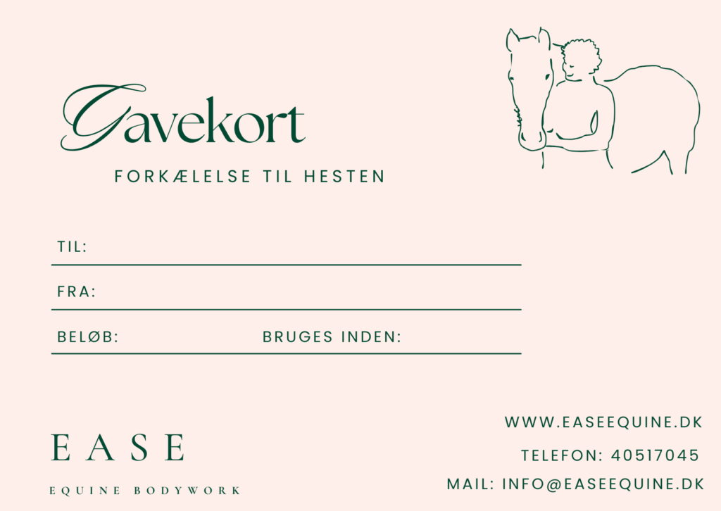 Gavekort til hestemassage fra EASE Equine Bodywork.