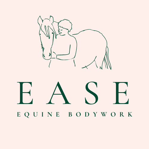EASE Equine Bodywork